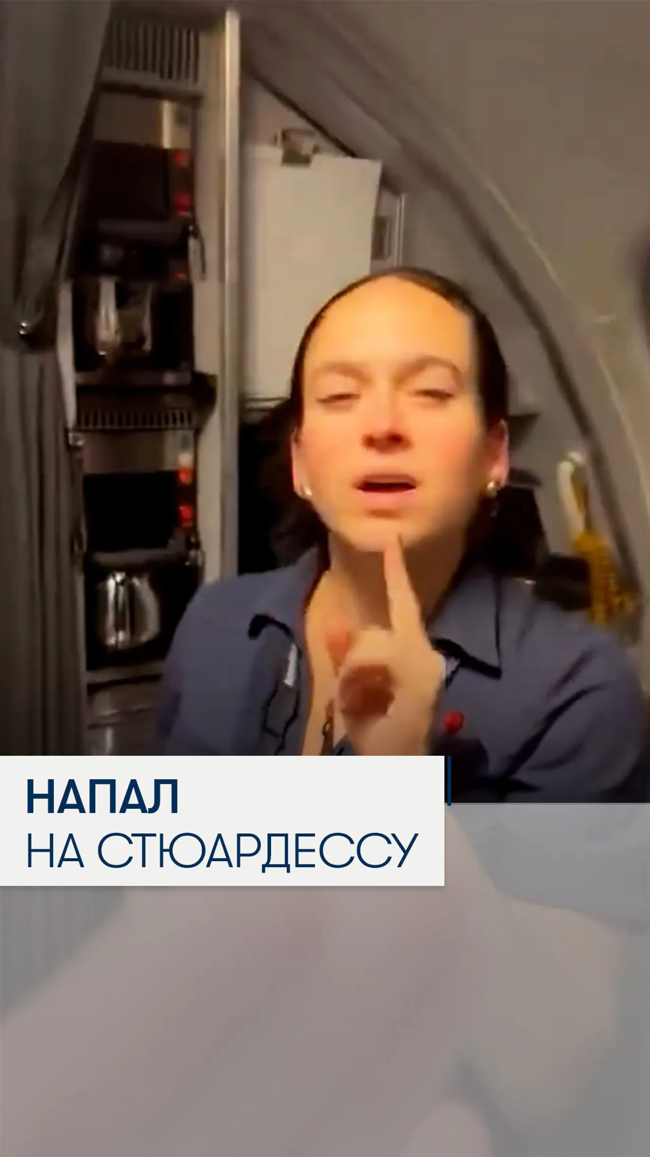 Еврейский пассажир напал на стюардессу из-за броши в виде арбуза